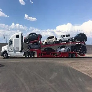 8 Car Trailer